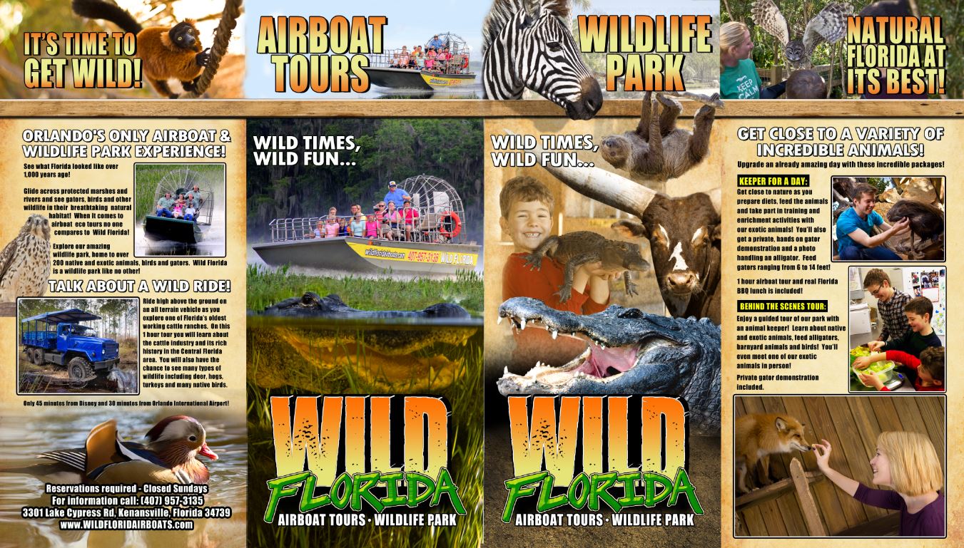 Historical Wild Florida brochure cover artwork